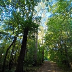 20230924_172055.jpg