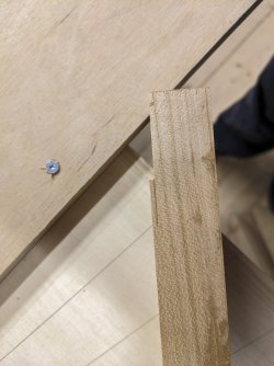 PXL_20230922_161724116.jpg PXL_20230922_161724116.jpg