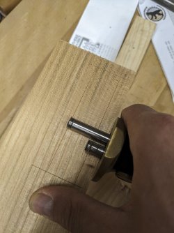 PXL_20230922_175641547.jpg PXL_20230922_175641547.jpg