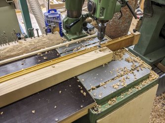 PXL_20230923_100556458.jpg PXL_20230923_100556458.jpg