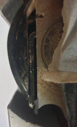 20231018_115923.jpg