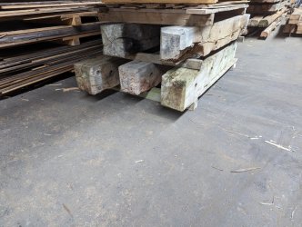 PXL_20231019_122246764.jpg
