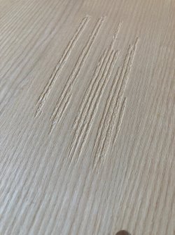 IMG_8356.jpg IMG_8356.jpg