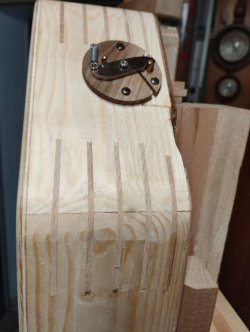 IMG_20231103_080417_160.jpg IMG_20231103_080417_160.jpg