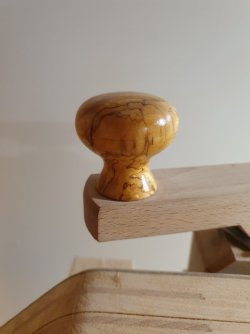 20231103_090451.jpg 20231103_090451.jpg