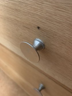 1699294115743.jpeg 1699294115743.jpeg