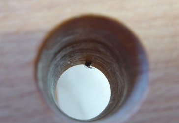 9_Spinne im Loch.jpg 9_Spinne im Loch.jpg