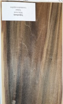 Holzmuster mit  Namen.jpg