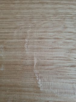 20231126_114916.jpg