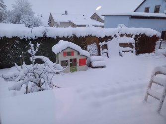 20231202_074101.jpg