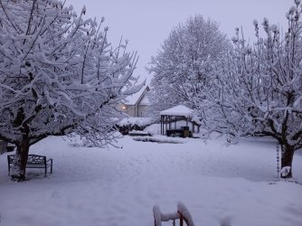 20231202_074022.jpg