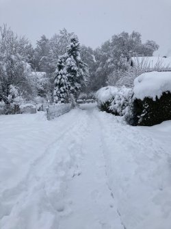 IMG_6524.jpeg