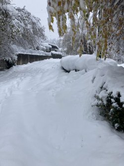 IMG_6526.jpeg