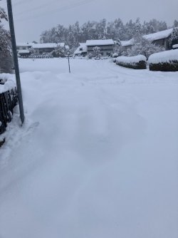 IMG_6530.jpeg