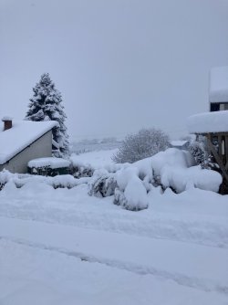 IMG_6533.jpeg