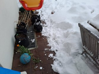 20231202_125034.jpg