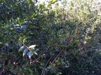IMG_1928 Kopie.jpeg