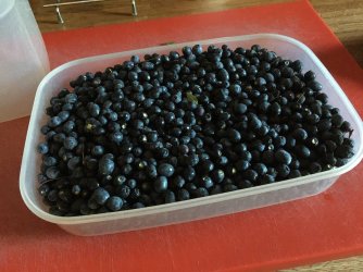 IMG_1938 Kopie.jpeg