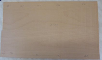 04_Buche_28cm.jpg 04_Buche_28cm.jpg