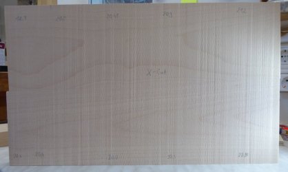 05_Buche 28 cm_Schräglicht.jpg 05_Buche 28 cm_Schräglicht.jpg