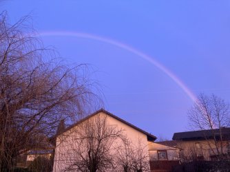 IMG_6696.jpeg