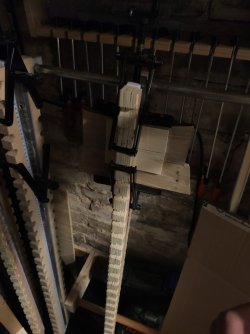 IMG_20240111_185236.jpg