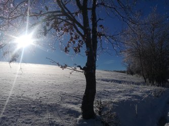 IMG_20240120_135347.jpg