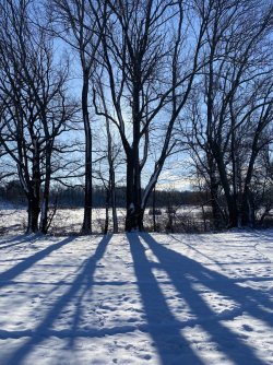 IMG_8912.jpeg