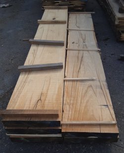 Eiche_Stock_Stkl6_Ringschäle_01_Einschnitt_100mm.jpg