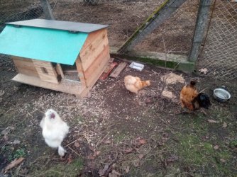 IMG_20240217_172908_9.jpg IMG_20240217_172908_9.jpg