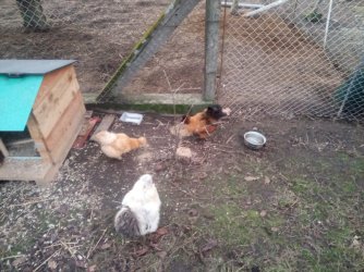 IMG_20240217_172926_6.jpg IMG_20240217_172926_6.jpg