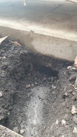 WhatsApp Image 2024-02-27 at 13.08.29.jpeg