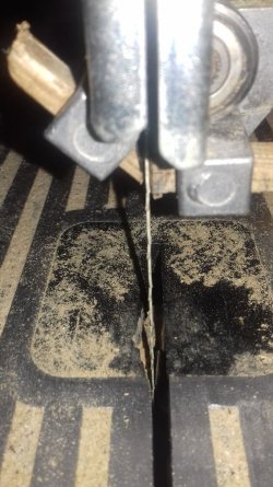 20190322_072753.jpg 20190322_072753.jpg