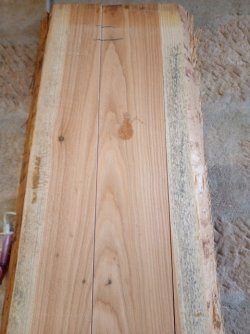 Lärche blau.jpg Lärche blau.jpg