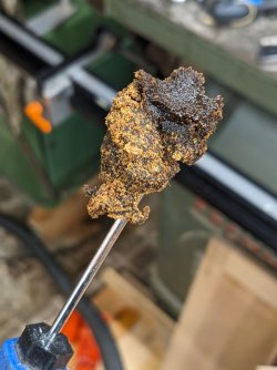 PXL_20240326_143808287.jpg PXL_20240326_143808287.jpg