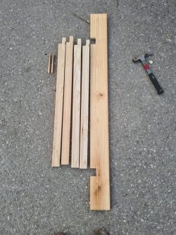 WhatsApp Image 2024-03-30 at 6.57.00 PM.jpeg