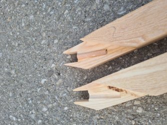 WhatsApp Image 2024-03-30 at 6.56.56 PM.jpeg