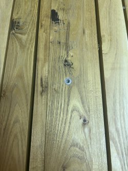 IMG_7350.JPG IMG_7350.JPG