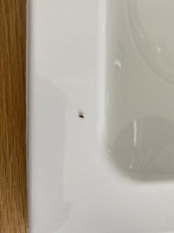 IMG_5988.jpeg