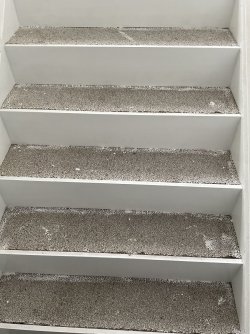 IMG_0064.jpeg IMG_0064.jpeg