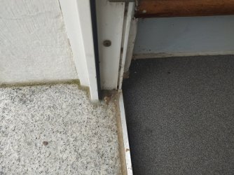 IMG_20240416_153533.jpg IMG_20240416_153533.jpg