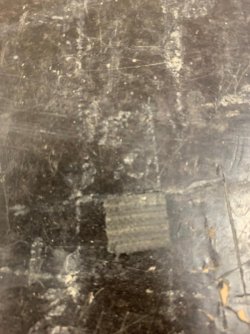 WhatsApp Image 2024-04-21 at 12.04.06.jpeg