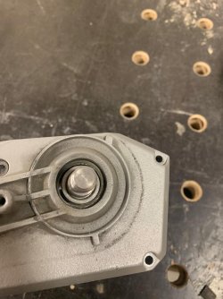 WhatsApp Image 2024-04-22 at 17.31.55.jpeg