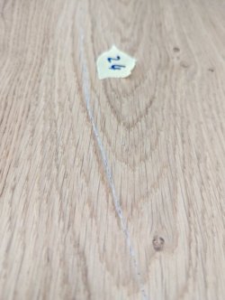 Schaden Boden 24-1.jpg