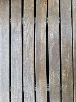 IMG_6818.jpeg