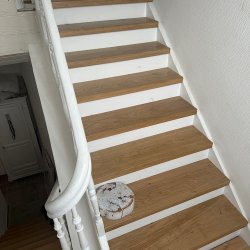 IMG_0169.jpeg IMG_0169.jpeg