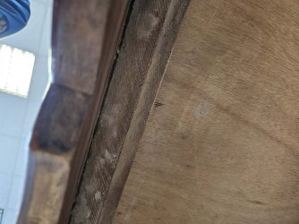 Nussbaum_Schrank_Sockelunterseite_02.jpg