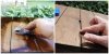 staining2.jpg