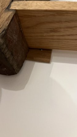IMG_3735.jpeg