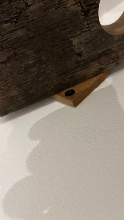 IMG_3733.jpeg